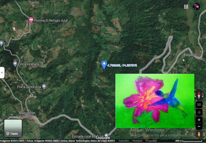 Wild-Jazmin-location